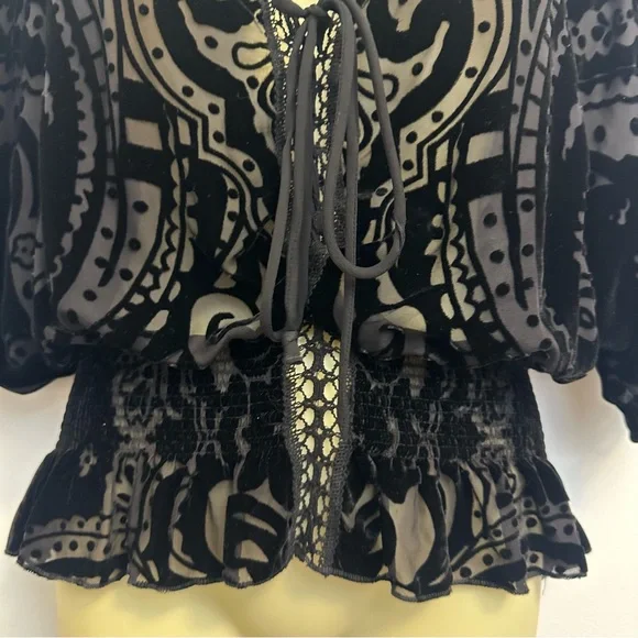Johnny Was Black Velvet Semi Sheer Blouse with Embroidered Detailing - Picture 5 of 8